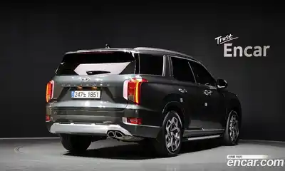 Hyundai Palisade 2021 3.8 гидро в Москве № 1684024, миниатюра 2