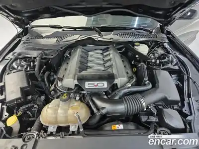 Ford Mustang 2017 5.0 гидро в Москве № 1697988, миниатюра 5