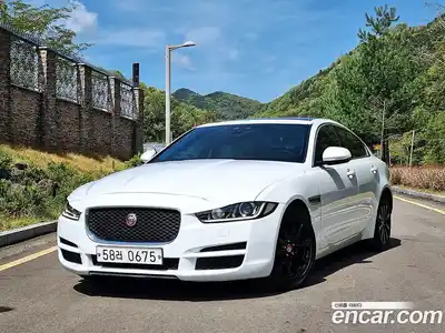 Jaguar XE 2015 2.0 гидро в Москве № 1698845, миниатюра 2