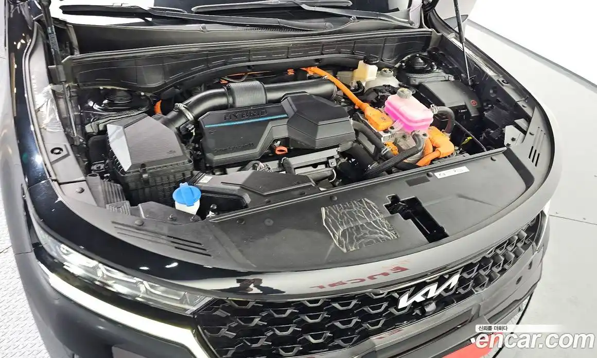 Kia Sorento 2023 1.6 гидро в Москве № 1758379, фото 6