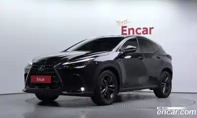 Lexus NX, 2022