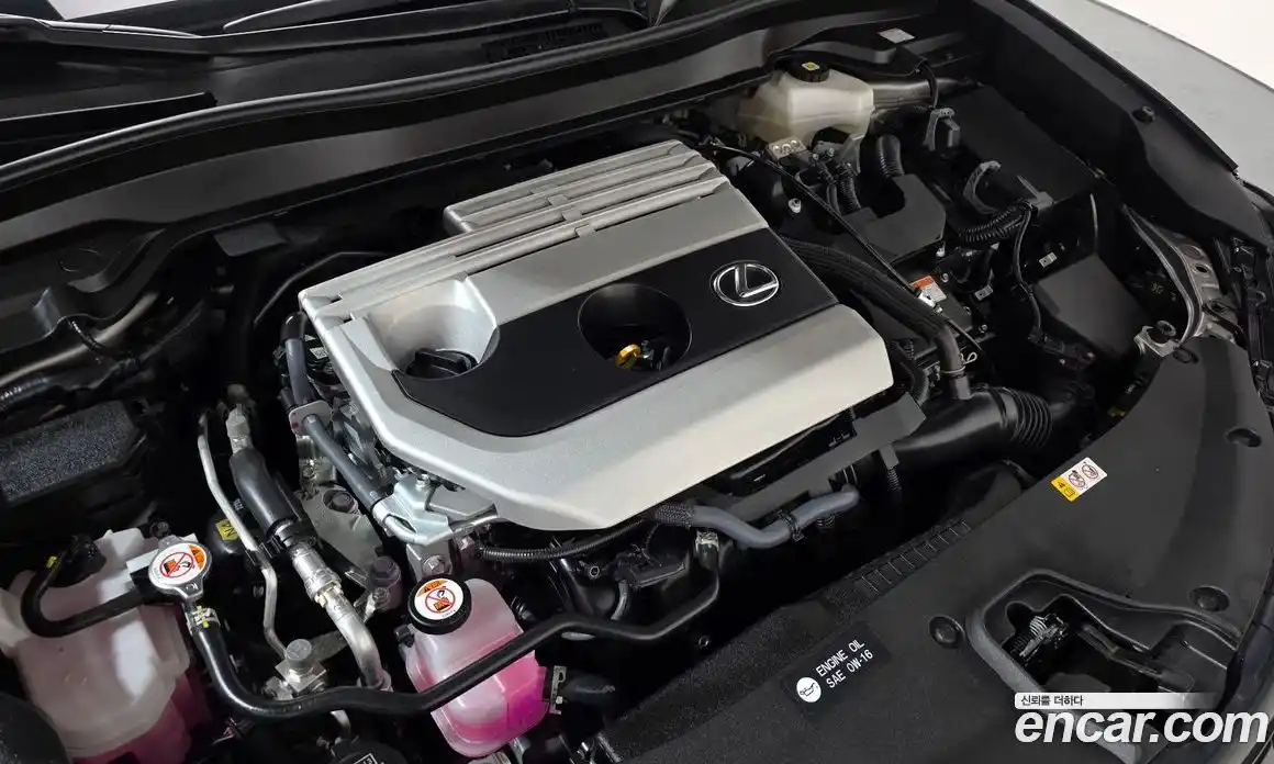 Lexus UX 2024 2.0 гидро в Москве № 168011, фото 5