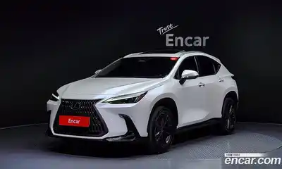 Lexus NX, 2022