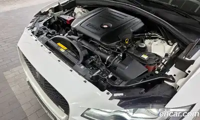 Jaguar F-Pace 2019 2.0 гидро в Москве № 1770405, миниатюра 6