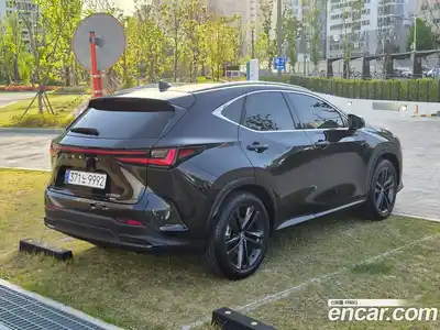 Lexus NX 2024 2.5 гидро в Москве № 825748, миниатюра 2