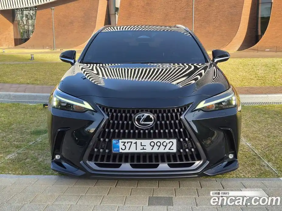 Lexus NX 2024 2.5 гидро в Москве № 825748, фото 3