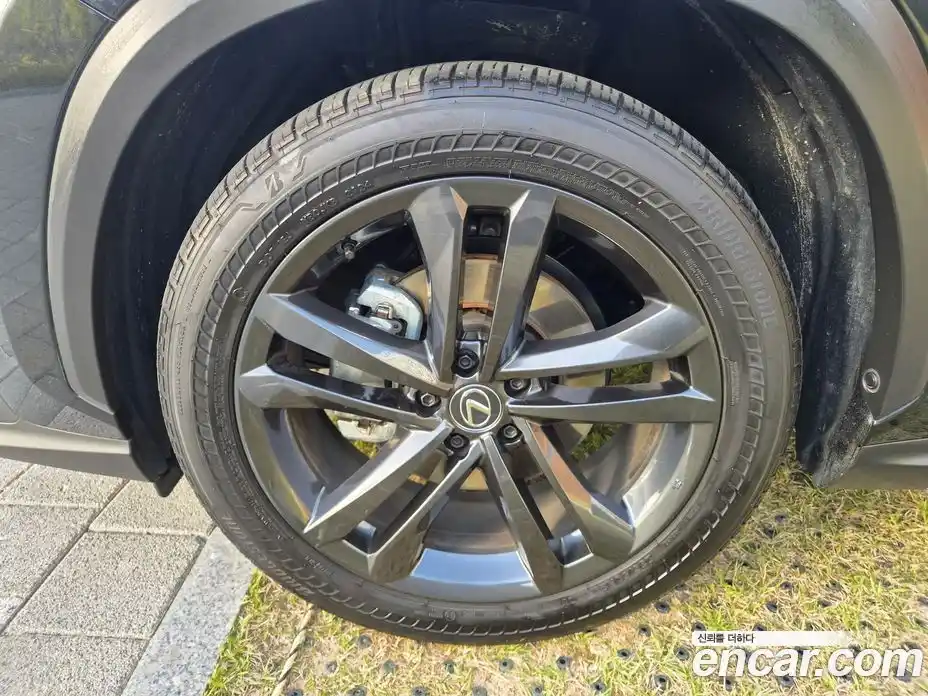 Lexus NX 2024 2.5 гидро в Москве № 825748, фото 5