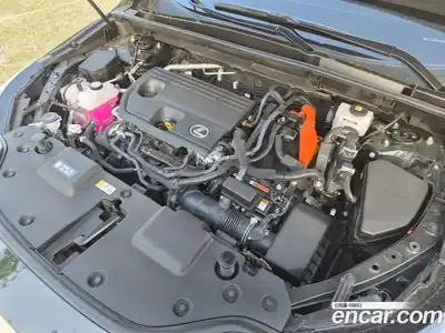 Lexus NX 2024 2.5 гидро в Москве № 825748, миниатюра 6