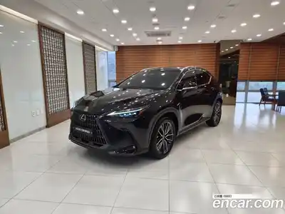 Lexus NX, 2025