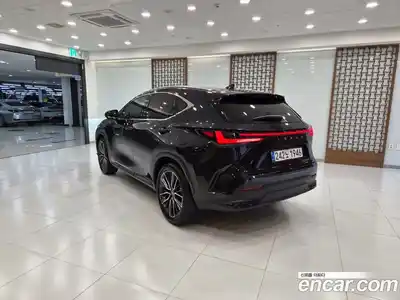 Lexus NX 2025 2.5 вариатор в Москве № 1764994, миниатюра 2
