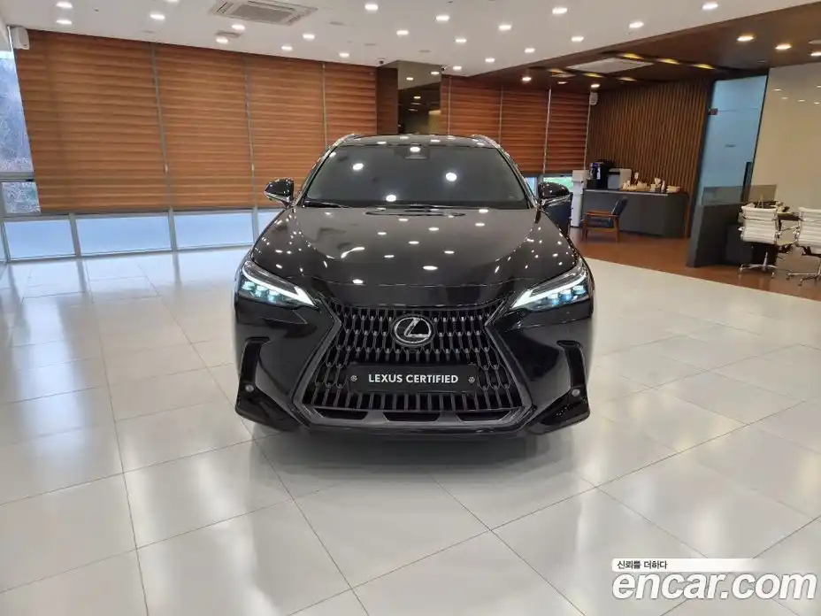Lexus NX 2025 2.5 вариатор в Москве № 1764994, фото 3