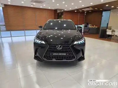 Lexus NX 2025 2.5 вариатор в Москве № 1764994, миниатюра 3