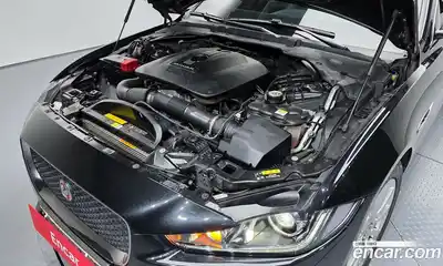 Jaguar XE 2017 2.0 гидро в Москве № 1421732, миниатюра 6