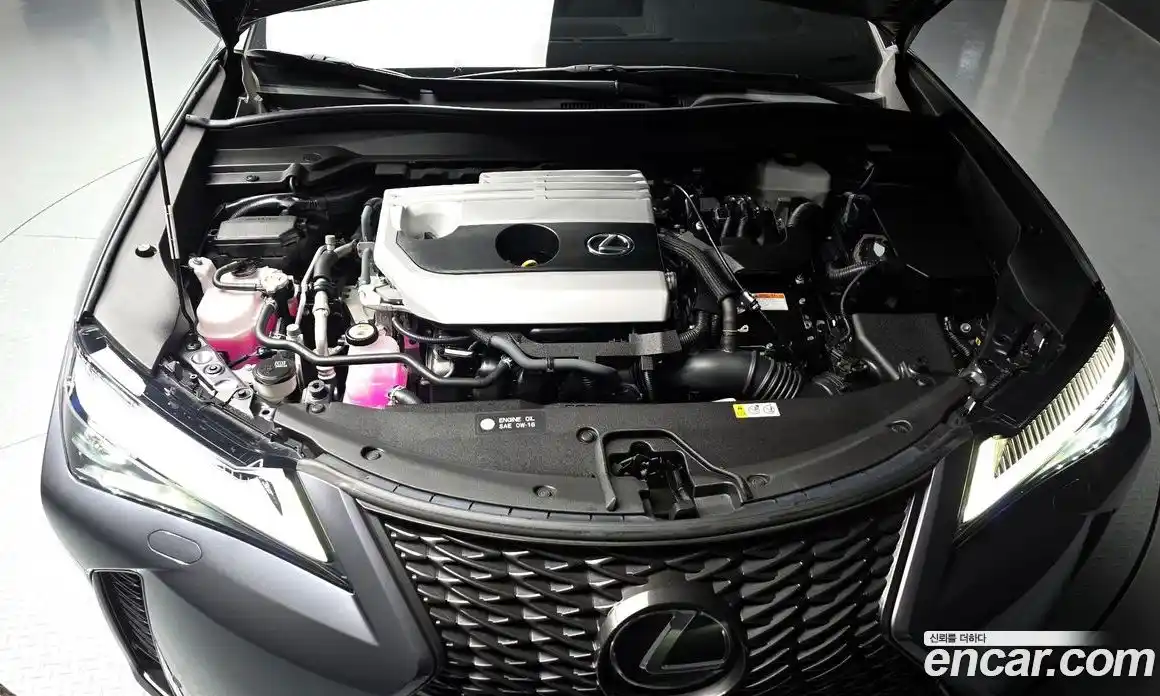 Lexus UX 2023 2.0 гидро в Москве № 1764881, фото 6