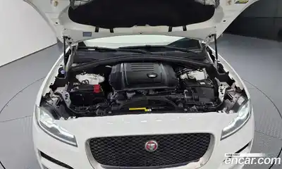 Jaguar F-Pace 2019 2.0 гидро в Москве № 1404004, миниатюра 6