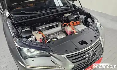 Lexus NX 2018 2.5 гидро в Москве № 1837945, миниатюра 6