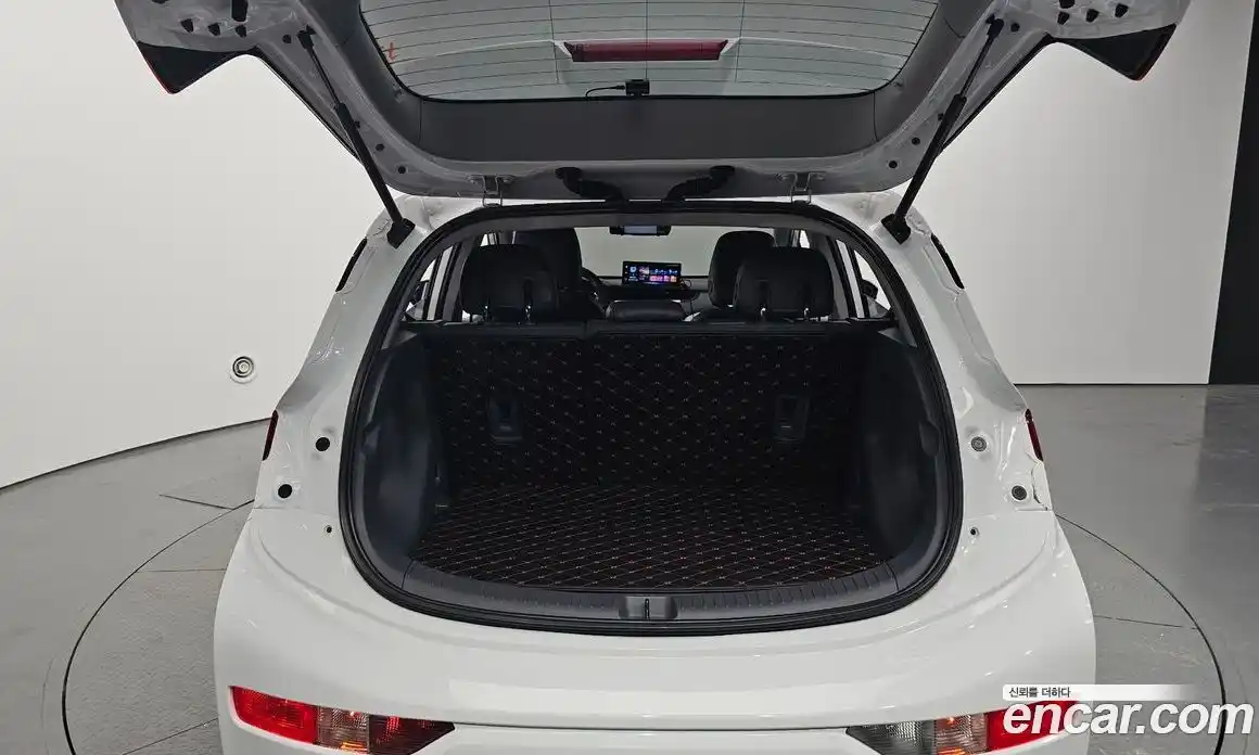 Chevrolet Bolt EV 2020 0.2 гидро в Москве № 1613647, фото 26