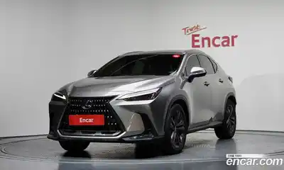 Lexus NX, 2023