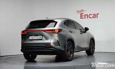 Lexus NX 2023 2.5 гидро в Москве № 1692965, миниатюра 2