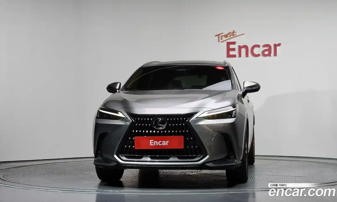 Lexus NX 2023 2.5 гидро в Москве № 1692965, фото 3