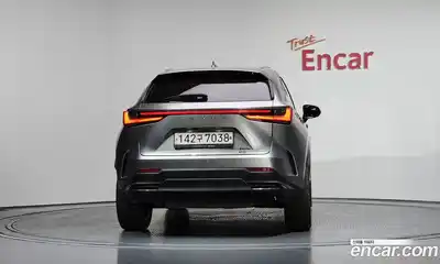 Lexus NX 2023 2.5 гидро в Москве № 1692965, миниатюра 4