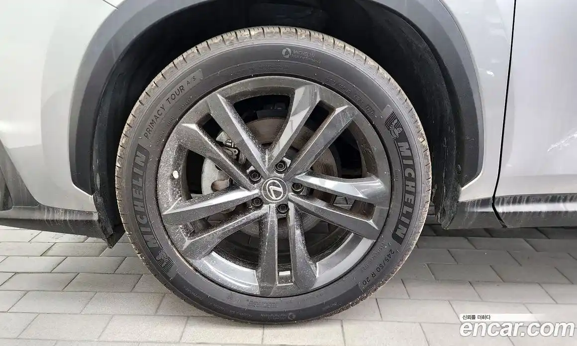 Lexus NX 2023 2.5 гидро в Москве № 1692965, фото 5