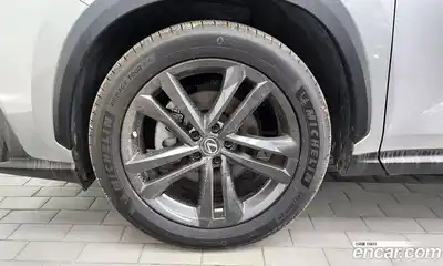Lexus NX 2023 2.5 гидро в Москве № 1692965, миниатюра 5