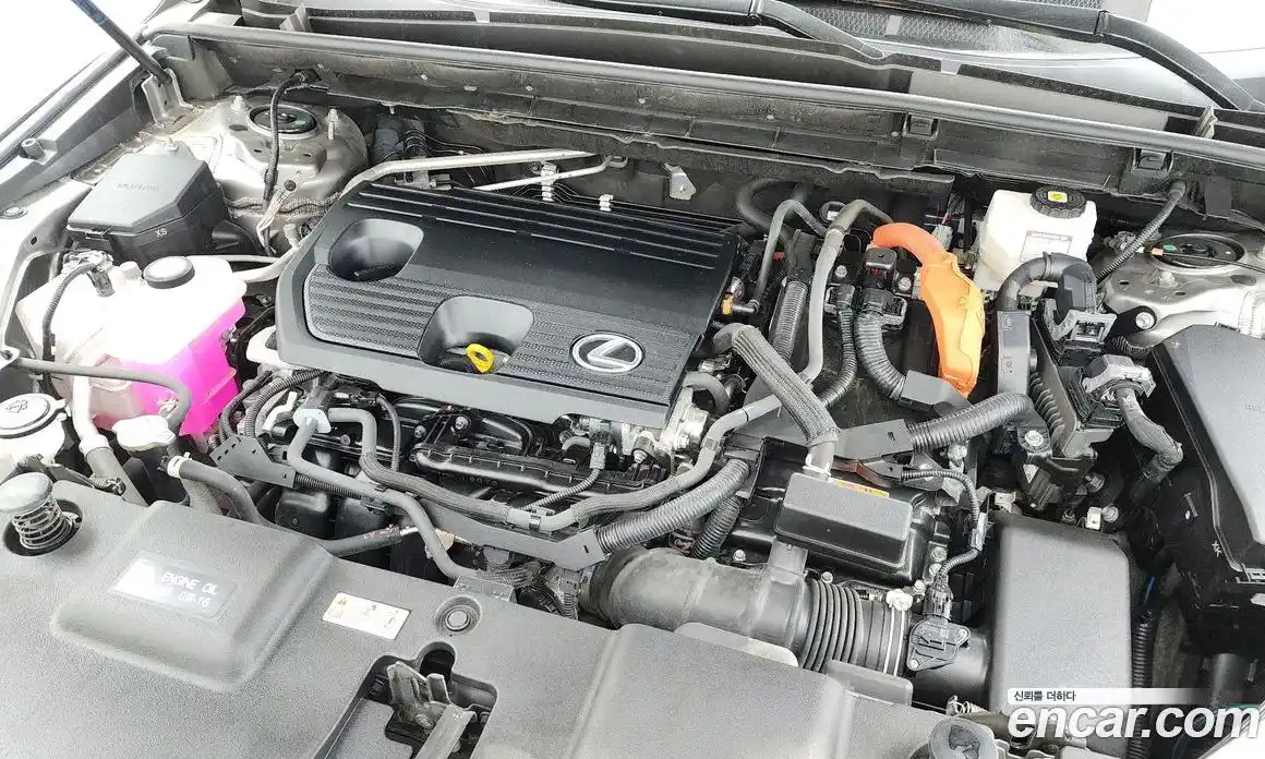 Lexus NX 2023 2.5 гидро в Москве № 1692965, фото 6