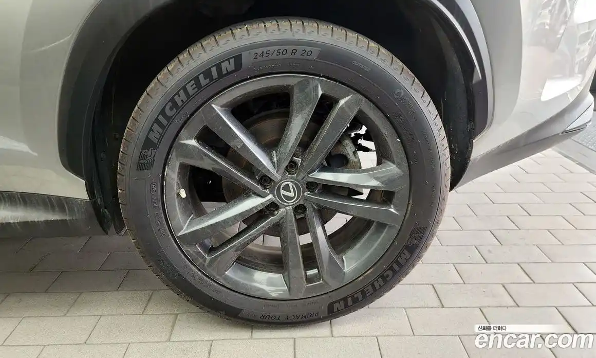 Lexus NX 2023 2.5 гидро в Москве № 1692965, фото 7