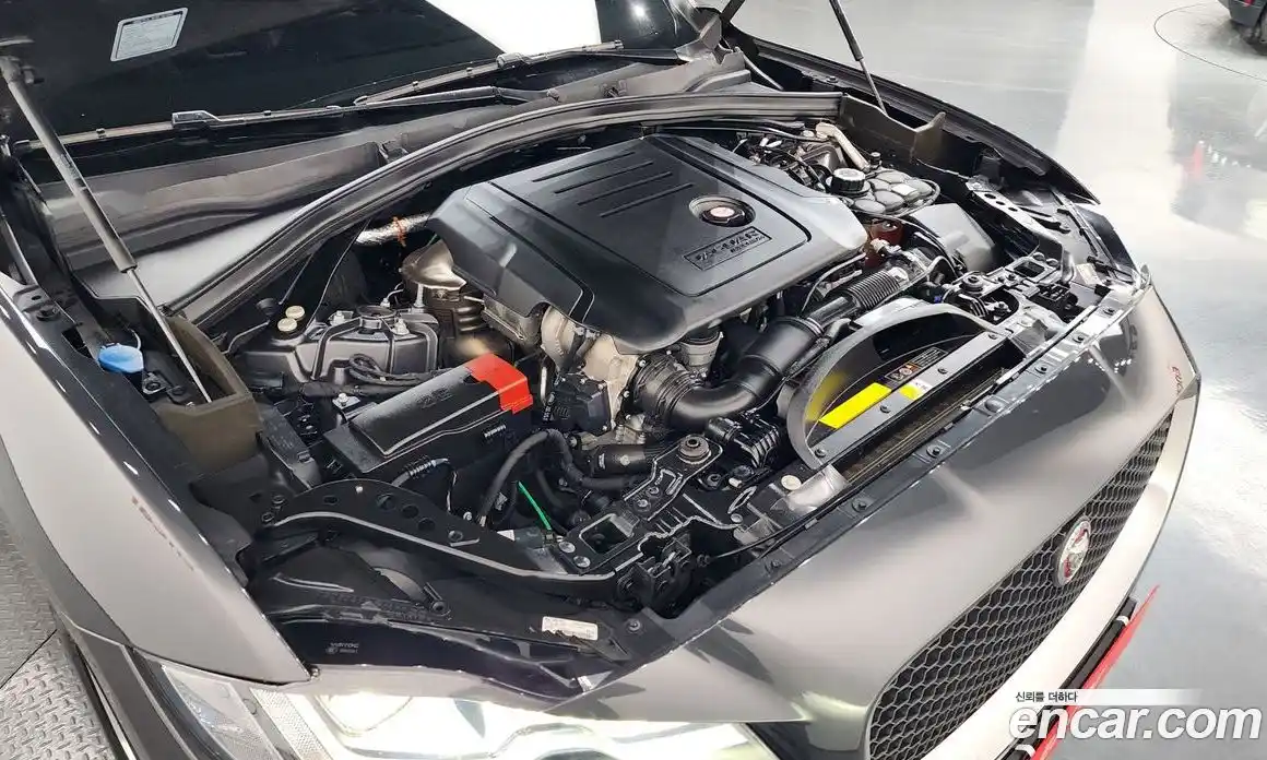 Jaguar F-Pace 2020 2.0 гидро в Москве № 1550907, фото 6