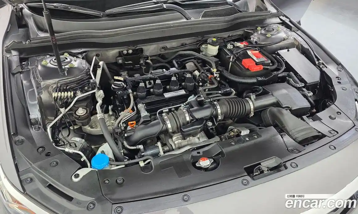 Honda Accord 2019 1.5 гидро в Москве № 1624601, фото 6