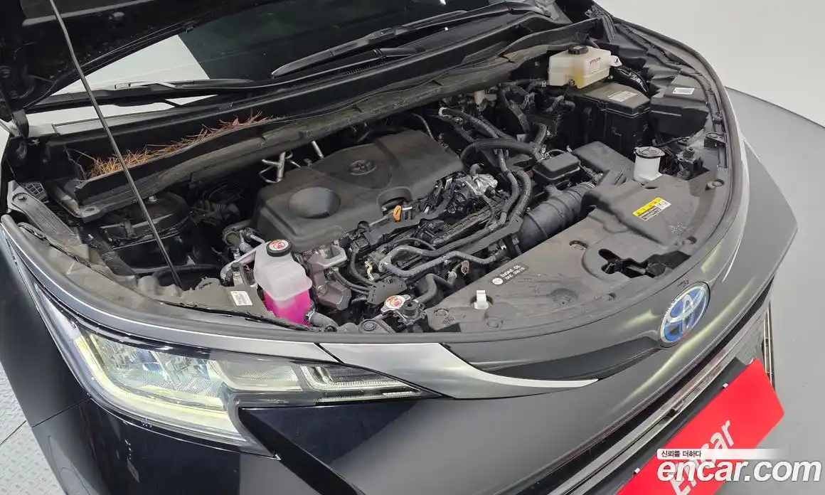 Toyota Sienna 2024 2.5 гидро в Москве № 1695732, фото 6