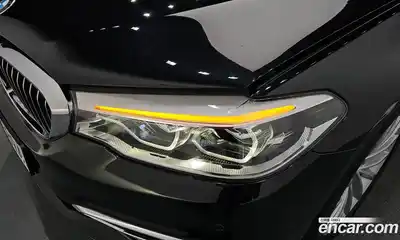 BMW 5-Series 2019 2.0 гидро в Москве № 1347435, миниатюра 8