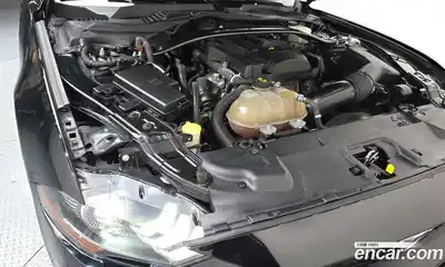 Ford Mustang 2019 2.3 гидро в Москве № 1624910, миниатюра 6