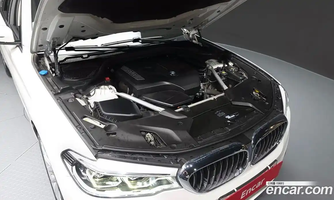 BMW 5-Series 2019 2.0 гидро в Москве № 1541483, фото 6