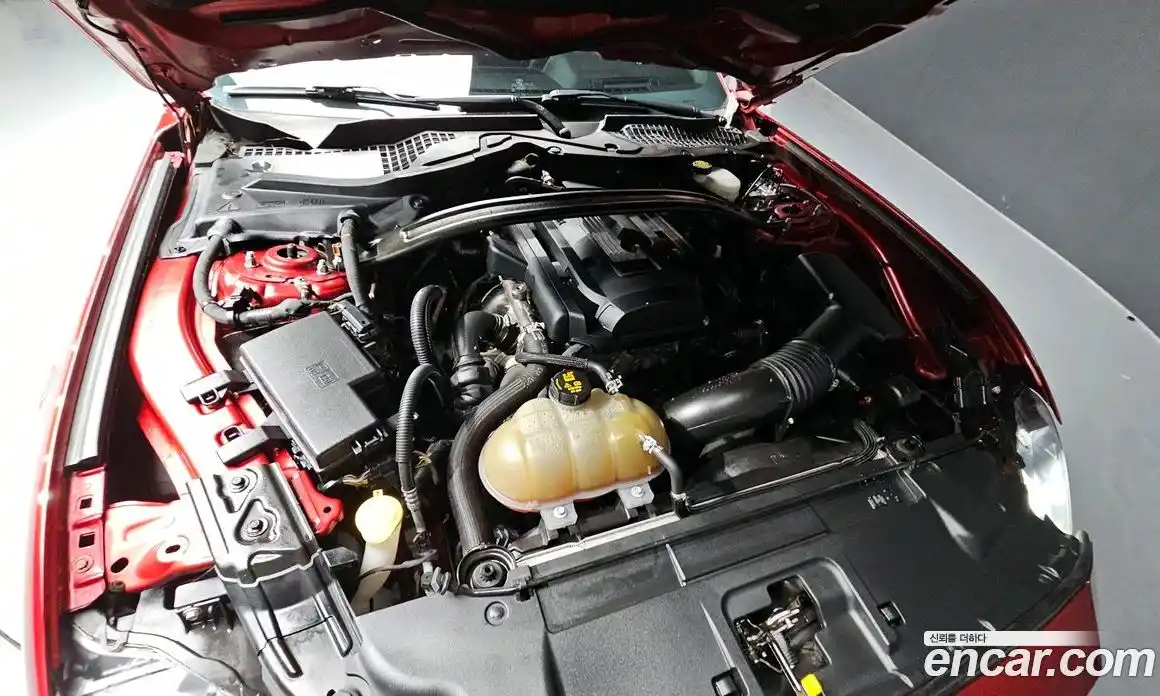 Ford Mustang 2018 2.3 гидро в Москве № 1696932, фото 6