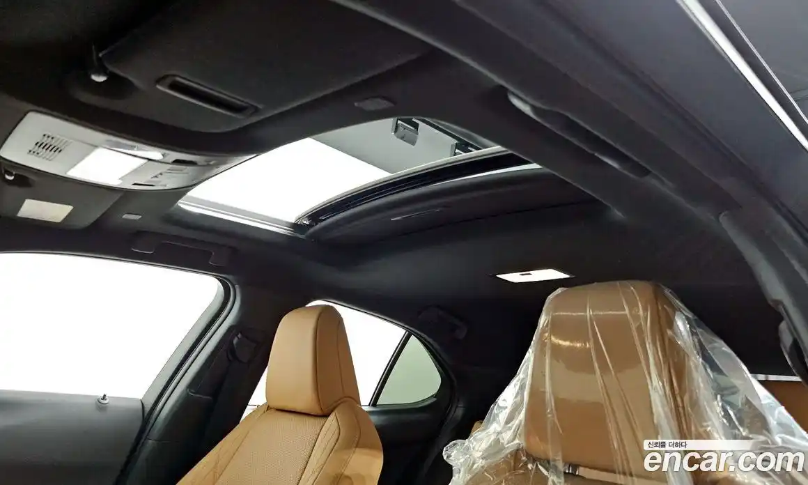 Lexus UX 2023 2.0 гидро в Москве № 1764900, фото 25