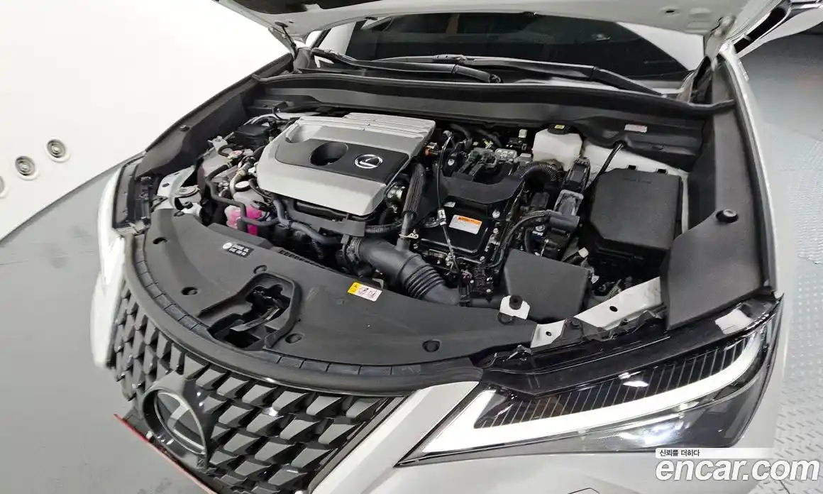 Lexus UX 2023 2.0 гидро в Москве № 1764900, фото 6