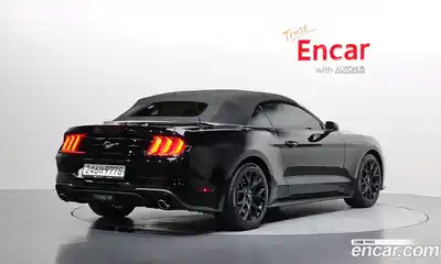 Ford Mustang 2022 2.3 гидро в Москве № 1767923, миниатюра 2