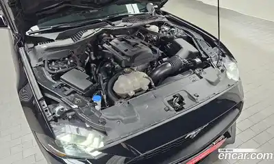 Ford Mustang 2022 2.3 гидро в Москве № 1767923, миниатюра 6