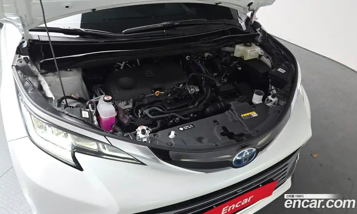 Toyota Sienna 2025 2.5 гидро в Москве № 1838472, фото 6
