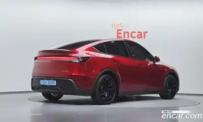 Tesla Model Y 2025 0.2 гидро, миниатюра 2