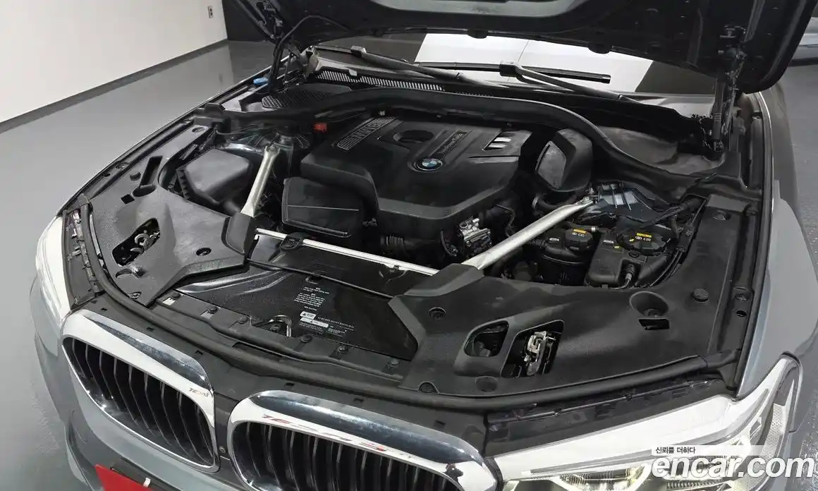 BMW 5-Series 2019 2.0 гидро в Москве № 1615771, фото 6