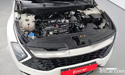 Kia Sportage 2024 1.6 гидро в Москве № 1245261, миниатюра 5