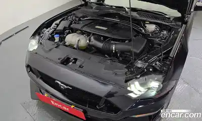 Ford Mustang 2022 5.0 гидро в Москве № 1838656, миниатюра 6