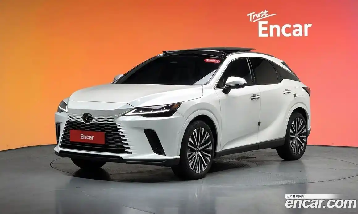 Lexus RX 2024 2.5 гидро в Москве № 1622683, фото 37