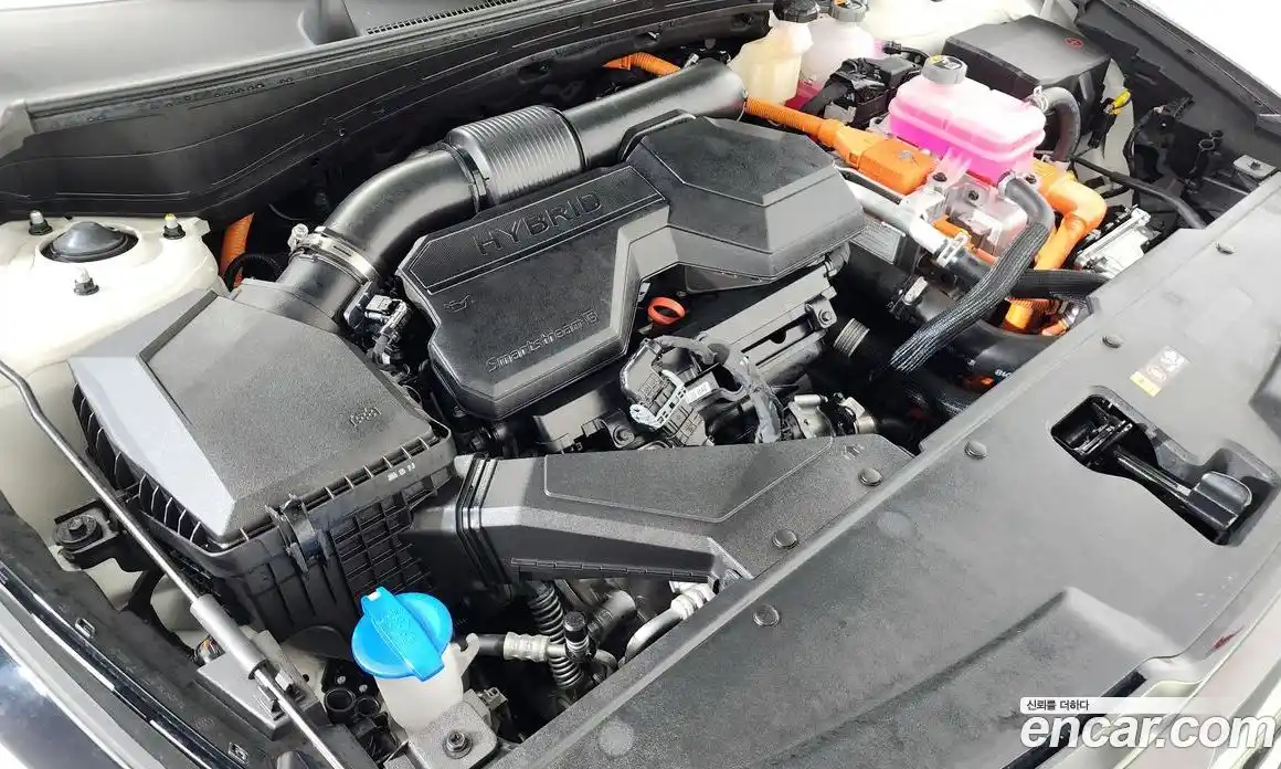 Kia Sportage 2025 1.6 гидро в Москве № 1831355, фото 6