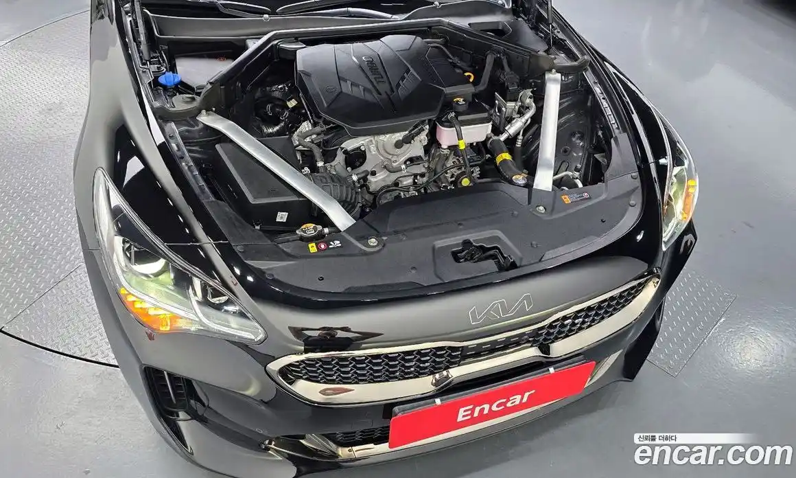 Kia Stinger 2023 2.5 гидро в Москве № 1831919, фото 6