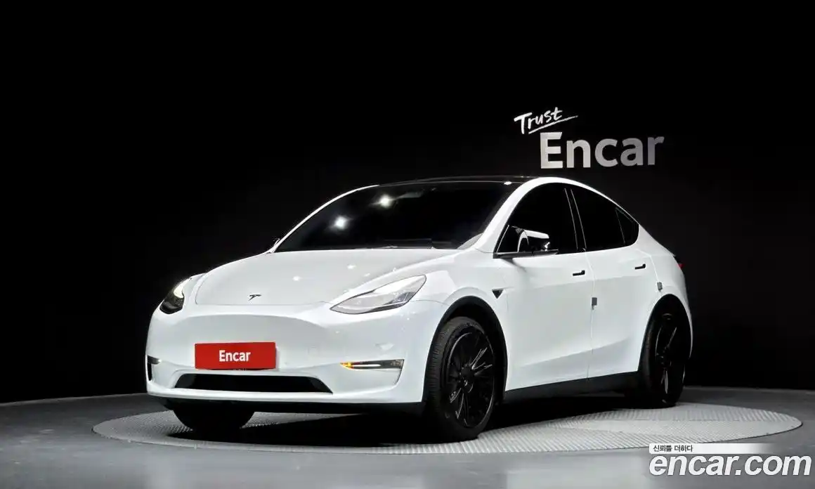 Tesla Model Y 2021 0.2 гидро, фото 1