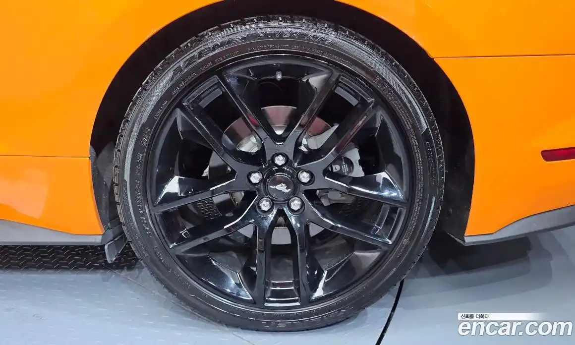 Ford Mustang 2017 5.0 гидро в Москве № 1550510, фото 6